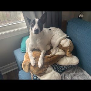 Meet your Posher, Robin